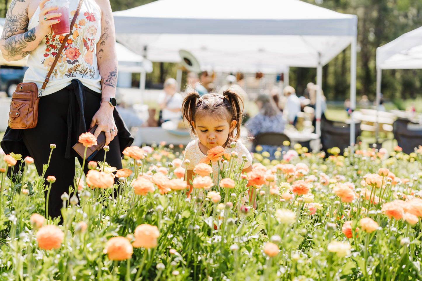 Ranunculus U-Pick (April)